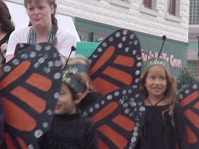 butterflyparade13.jpg