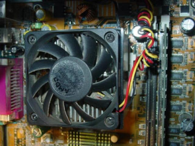 Animal Crackers CPU. Really all you see is the fan