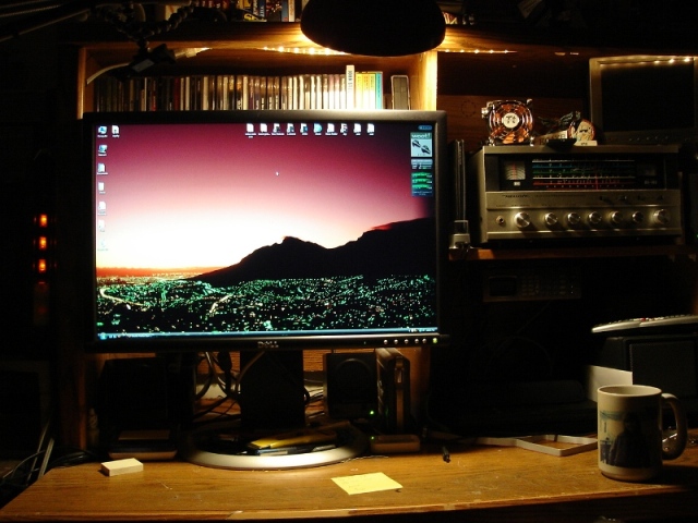 Dell 24" Monitor