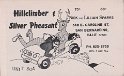 hill-climber-silver-pheasant