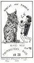 kaid9131 : cb, qsl