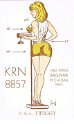 krn8857  Processed By eBay with ImageMagick, z1.1.0. ||B2